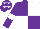 Silk - Purple, white quarters and armlets, purple and white stars cap