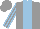 Silk - Grey, light blue panel, striped sleeves, grey cap