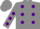 Silk - Grey, Purple spots