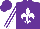 Silk - Purple, white fleur de lys, striped sleeves, purple cap