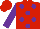 Silk - RED, purple spots, purple sleeves & red cap