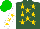 Silk - Hunter green, gold stars, gold stars on white sleeves, green cap