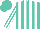 Silk - Turquoise, white stripes, white stripes on sleeves, turquoise cap