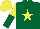 Silk - Dark green, yellow star, yellow & dark green halved sleeves, yellow cap