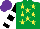 Silk - Emerald green, yellow stars, black & white hooped sleeves, purple cap