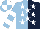 Silk - Light blue and dark blue halves, white stars, white bars on sleeves, light blue and white quartered cap