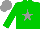 Silk - Green, grey star and cap