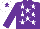 Silk - Purple, white stars, white cap, purple star