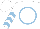 Silk - White, light blue circle 'tree emblem', white sleeves, light blue chevrons