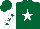 Silk - Dark green, white star, white sleeves, dark green stars, dark green cap