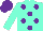 Silk - Aqua, purple dots, purple cap