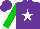 Silk - Purple, white star, green sleeves, purple cap
