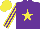 Silk - purple, yellow star, striped sleeves, yellow cap