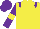 Silk - Yellow body, purple epaulettes, purple arms, yellow armlets, purple cap