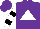 Silk - Purple, white triangle, black bars on white sleeves, purple cap