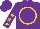 Silk - Purple, gold circle, gold stars on sleeves