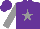 Silk - Purple, grey star and sleeves, purple cap