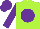 Silk - Lime, purple ball, purple sleeves, purple cap