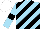 Silk - Sky blue, black diagonal stripes and armlets, white cap