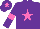 Silk - Purple body, rose star, purple arms, rose armlets, purple cap, rose star