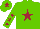 Silk - Light green, maroon star, light green sleeves, maroon stars, light green cap, maroon star