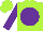 Silk - Lime green, purple disc, purple sleeves