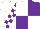 Silk - White and purple (quartered), checked sleeves
