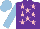 Silk - Purple, pink stars, light blue sleeves and cap