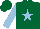Silk - Dark green, light blue star and sleeves