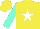 Silk - Yellow, white star, aqua sleeves, yellow cap