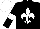 Silk - black, white fleur de lys, white armlets and cap