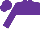 Silk - Purple, white halved horizontally, purple sleeves and cap