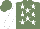 Silk - Sea green, white stars, sleeves black, sea green cap