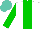 Silk - White, green stripe, sleeves, turquoise cap
