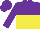 Silk - purple and yellow halved horizontally