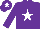 Silk - Purple body, white star, purple cap, white star