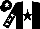 Silk - Black,white stripe,black star,black sleeves,white stars,black cap,white star ,collar