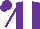 Silk - Purple, white stripe, purple stripe on white sleeves