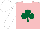 Silk - Pink, forest green shamrock, white collar, sleeves white, cap pink