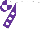 Silk - White, white spots on purple sleeves, purple and white quartered cap