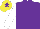 Silk - Purple, white sleeves, yellow cap, purple star