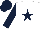 Silk - White, dark blue star, dark blue sleeves, dark blue cap
