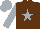 Silk - brown, silver star, silver sleeves and cap