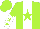 Silk - Lime, white stripe, lime star, lime, white halved sleeves, lime stars, cap white, lime quartered