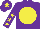 Silk - Purple, yellow disc, purple sleeves, yellow stars, purple cap, yellow star