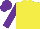Silk - Yellow, purple sleeves, cap yellow