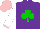 Silk - Purple, green shamrock, white sleeves, pink cuffs, pink cap