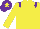 Silk - Yellow body, purple epaulettes, yellow arms, purple cap, yellow star