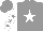 Silk - Grey, white star, grey stars on white sleeves, grey cap
