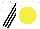 Silk - White body, yellow disc, white arms, black striped, white cap